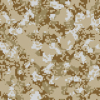 CAM00044
