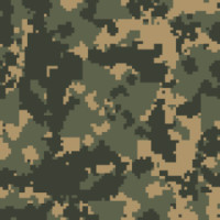 CAM00061
